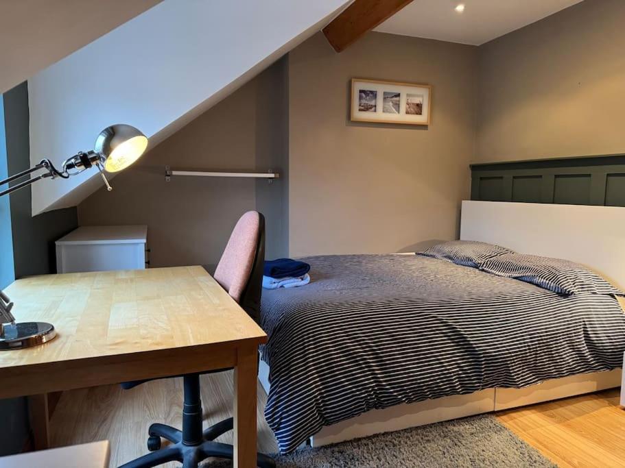 Stylish, Spacious And Central 4 Bedroom House ベルファスト エクステリア 写真
